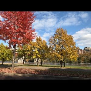 Meet your Posher, Love